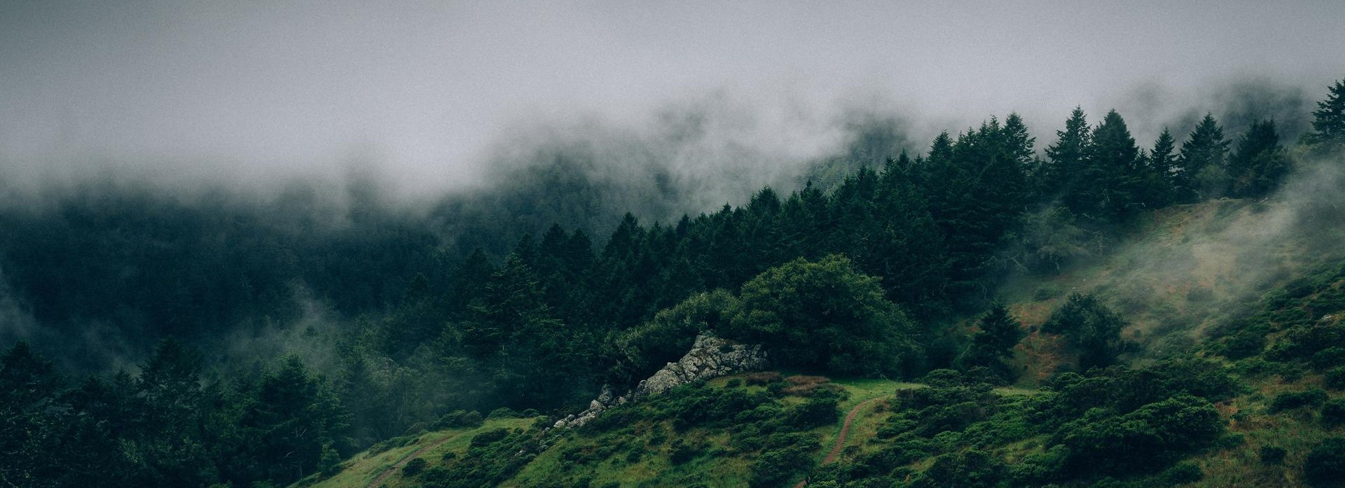 nature image